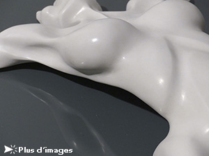 IZA, Isabelle Ardevol, femme artiste contemporain, sculpteure, sculptrice, art envol, sculpture en resine acrylique, 2012