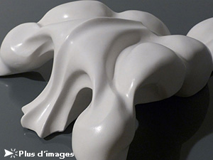 IZA, Isabelle Ardevol, femme artiste contemporain, sculpteure, sculptrice, art Lui, sculpture en resine acrylique, 2013
