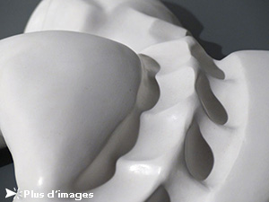 IZA, Isabelle Ardevol, femme artiste contemporain, sculpteure, sculptrice, art Reverie d'un promeneur solitaire, sculpture en resine acrylique, 2012