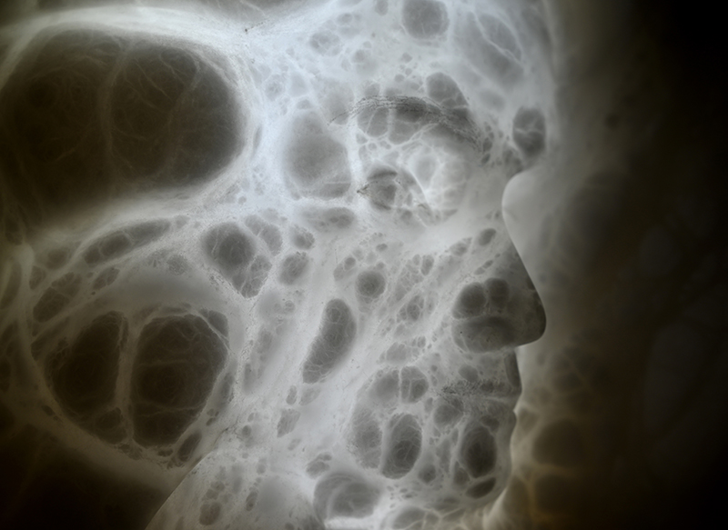 IZA, Isabelle Ardevol, sculpture en albatre appelée Symbiose - 2026